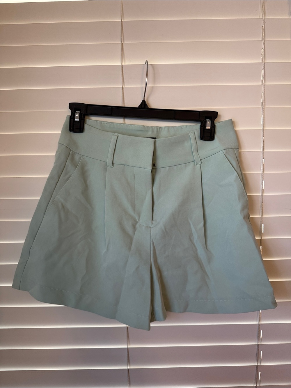 Express Mint Green Pleated High-Rise Women’s Shorts